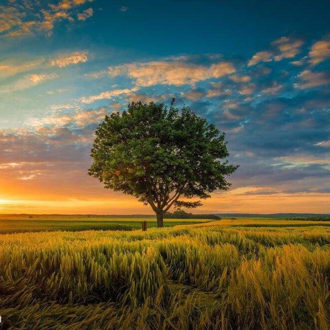 آهنگ جدید  تو سرم ترکید دینامیت یهو تموم شد سن بیخیالیم